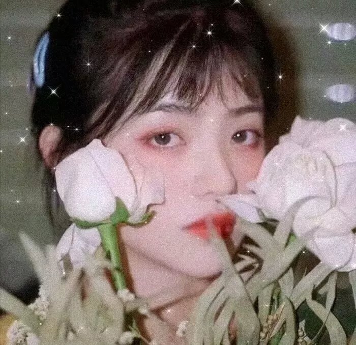 罗马假日